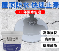 屋顶防水补漏材料补漏王房顶裂缝楼顶漏水防水涂料水泥灰1kg